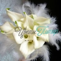 Белая калла 