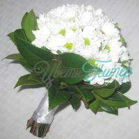 Белая хризантема кустовая