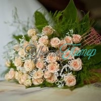 Кремовая роза кустовая